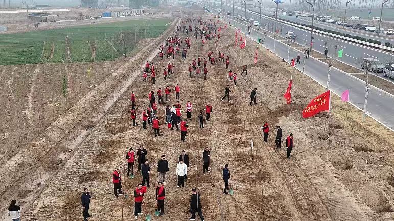 我县开展2025年春季义务植树活动