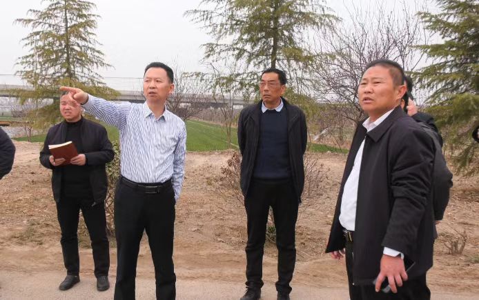 王振海调研绿化项目建设情况