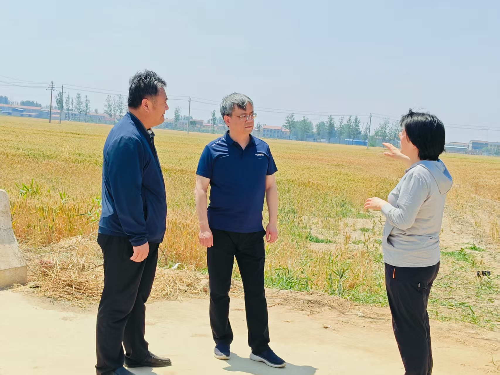 王跃峰调研“三夏”及专项整治工作