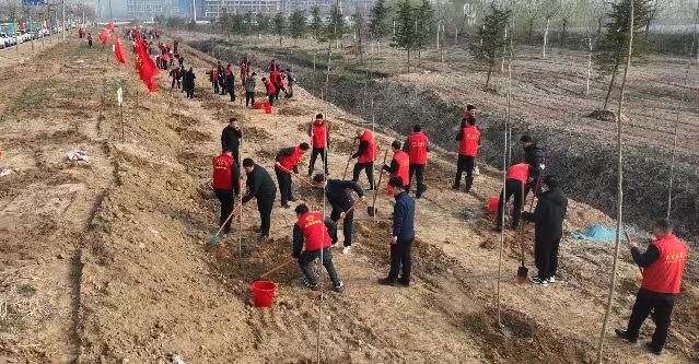 我县四大班子领导参加春季义务植树活动