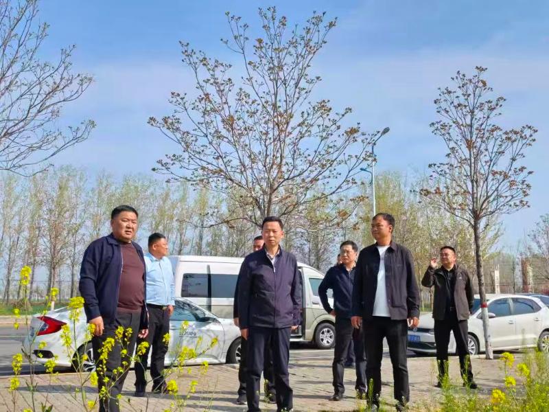 王振海调研重点项目建设推进工作