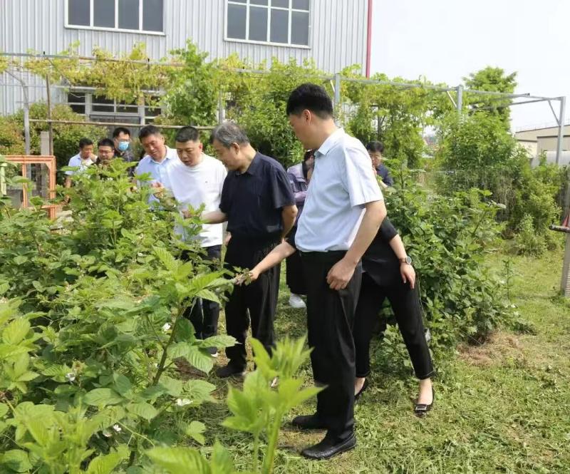 新乡市人大常委会莅封开展《地理标志促进和保护条例》立法调研